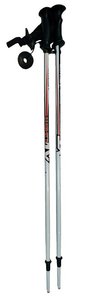 Палки лыжные TecnoPro Team белый 70 см(р)